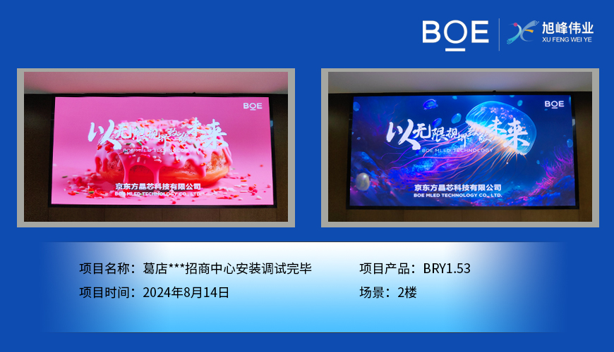 湖北葛店***招商中心安裝調試完畢
