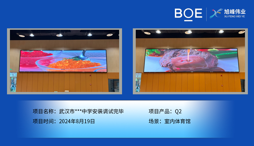 湖北武漢市***中學安裝調(diào)試完畢