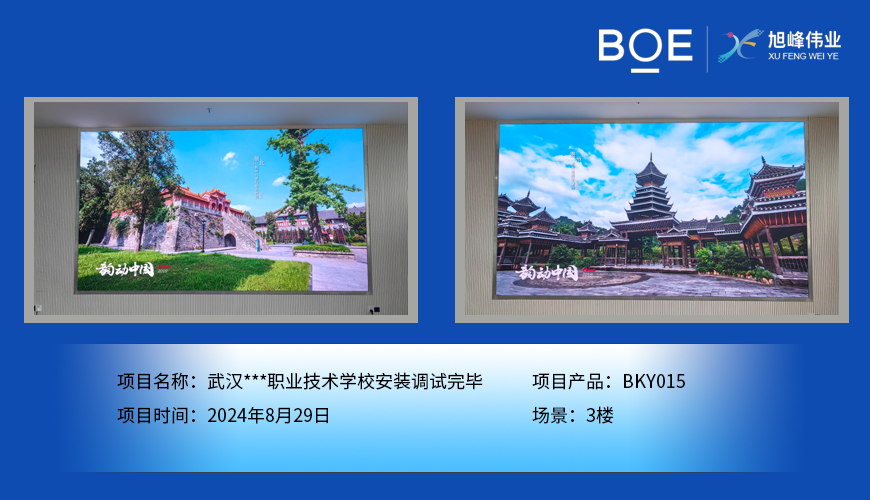 湖北武漢***職業技術學校安裝調試完畢