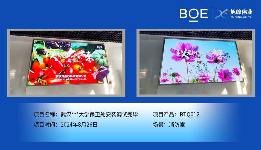 湖北武漢***大學保衛處安裝調試完畢